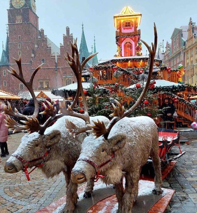 Rynek Pod Fredra Breslavia