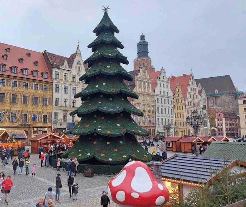 Rynek Pod Fredra *